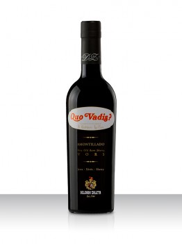QUO VADIS VORS DELGADO ZULETA